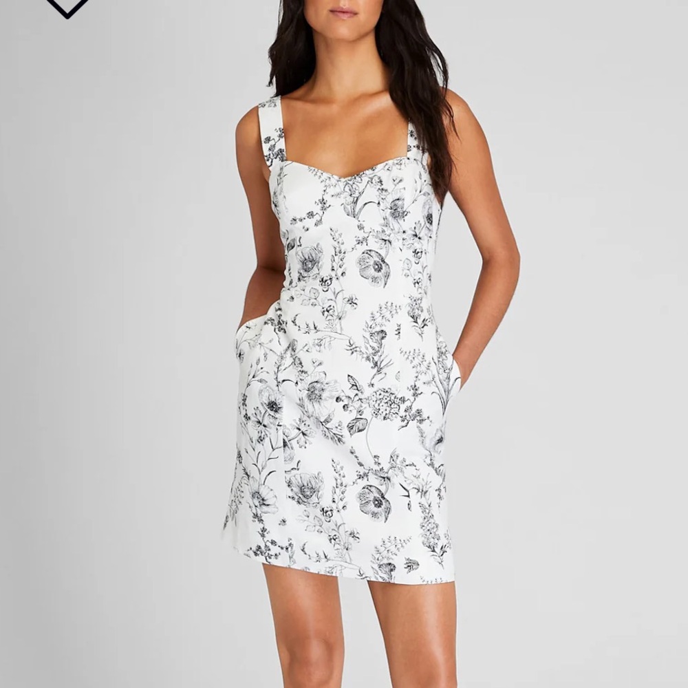 Club Monaco Toile Print Mini Dress